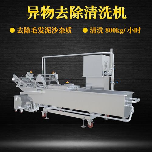 果蔬清洗機制造廠家，氣泡清洗，清洗800kg小時