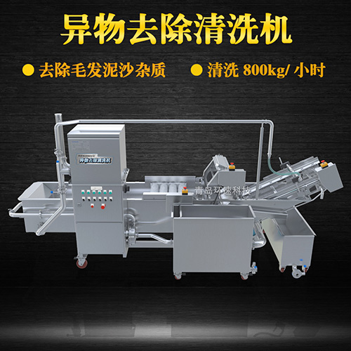 蔬菜自動化清洗設備，氣泡清洗，清洗800kg小時