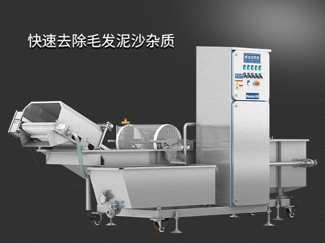 果蔬清洗機制造廠家，氣泡清洗，清洗800kg/小時